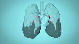 WHO Breathe Life  How air pollution impacts your body [upl. by Dworman964]