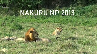 Nakuru Safari 2013 [upl. by Atnoled824]