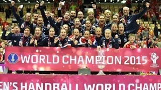 Netherlands VS Norway Handball final Womens World Championship Denmark 2015 [upl. by Cassil]