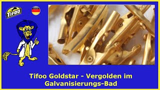 Selbst vergolden mit dem Tifoo Goldstar  Ganz einfach Vergoldungen zu Hause machen [upl. by Eilatam53]