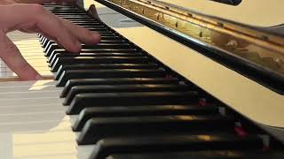 Home Flashmob  Beethoven Piano Sonata op27 No2 Moonlight 1st and 2nd movement [upl. by Nyrad]