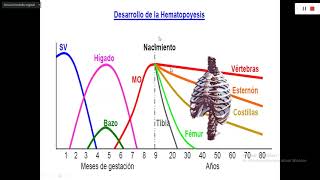 ACROMEGALIA  ENDOCRINOLOGÍA [upl. by Khoury605]