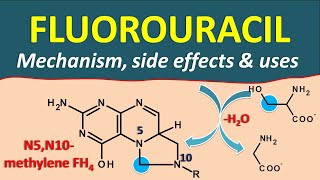 Fluorouracil FU  Mechanism side effects and uses [upl. by Hennessey]