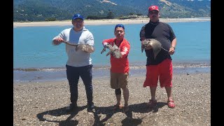 Leopard shark fishing at Stinson Beach Bolinas [upl. by Ericka]