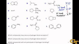 Identifying Hydrogen Bond Donors amp Acceptors [upl. by Francklyn]