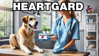 What Is Heartgard For Dogs Explained [upl. by Gottuard]