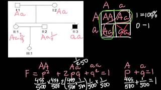 Pedigree analysis Advanced level [upl. by Asilav]