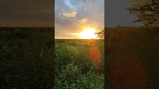 Pôr sol majestoso🏜️ dojeitoqueopovogosta umdiadaminhavida nordeste [upl. by Un]