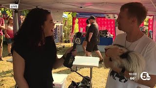 Skunk enthusiasts gather in North Ridgeville to celebrate their favorite little stinkers [upl. by Sehcaep606]