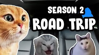 CAT MEMES ROAD TRIP COMPILATION SEASON 2 [upl. by Syverson391]