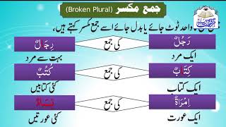 Taiseer UL Quran Grammar Class 03  عدد [upl. by Karolina]