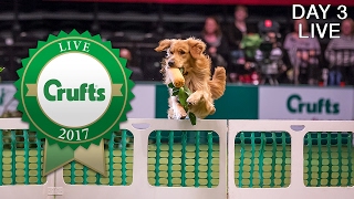 Day 3 Live  Crufts 2017 [upl. by Ardnaxila]