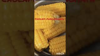 food cholam puzhungiyath 😋 recipe [upl. by Egduj]