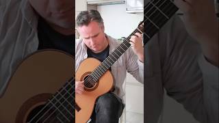 Andante by Ferdinando Carulli galleryofguitar italianmusic guitar [upl. by Gulick]