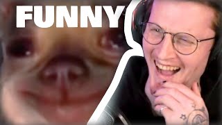 Reacting To Memes That Are Actually Funny [upl. by Oakman]