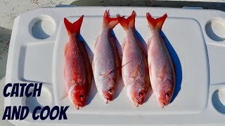 Catch and Cook Ep 6 Fish Ceviche [upl. by Aihpos210]