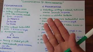 Lec  14  Classification Of Hemichordates  Diversity Among Animals UrduHindi [upl. by Leissam]