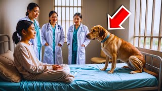 Dog Invades Psychiatric Clinic and Prevents Tragedy for Young Girl Leaving Everyone Shocked [upl. by Clarkin250]