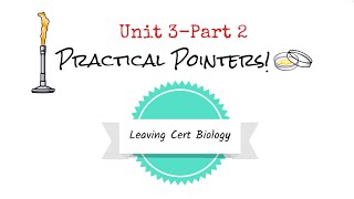 Unit 3 Practicals Part 2 Biology Bugbears Practicals 2024 [upl. by Colon72]