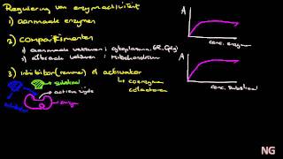 63  Regulering enzymactiviteit  Deel 1 [upl. by Geddes56]