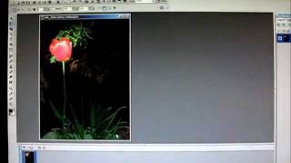 PhotoImpact 12Tutorial 6 focus light on an object [upl. by Porty]