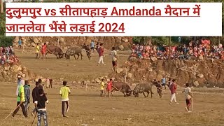 Dulumpur vs Sitapahar jabarjast bhaise larai mokabila Amdanda मैदान में 2024 [upl. by Perloff]