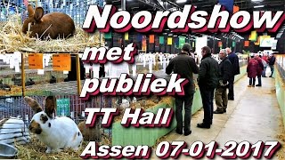 De Noordshow met publiek TT Hall Assen 7 01 2017 [upl. by Melina]