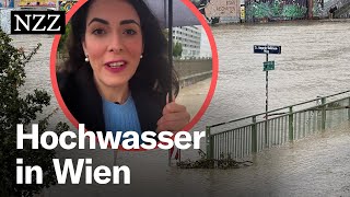 Hochwasser in Wien Nicht die Donau ist das Problem – sondern der Wienfluss [upl. by Russi]