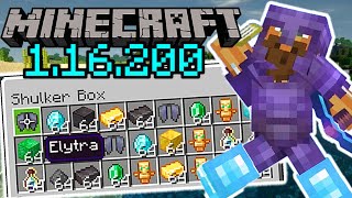 Minecraft 116200  ALL WORKING DUPLICATION GLITCHES 2020 TUTORIAL XBOXPEWINDOWS10SWITCHPS4 [upl. by Harshman]