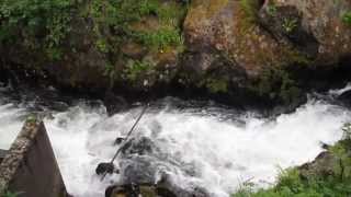 Creek Street Salmon Ladder Ketchikan Alaska everydaytaichi lucy chun Honolulu Hawaii [upl. by Yeleek503]