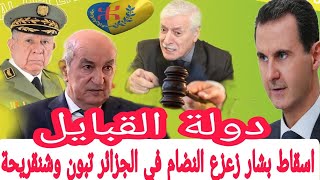 Vive kabylie Tabboune and Shankarha are in trouble After the fall of Nidham alAssad [upl. by Zippora15]