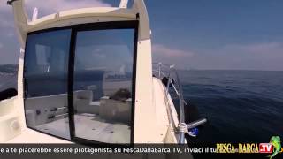 Come concepire una BARCA DA PESCA SPORTIVA [upl. by Read380]