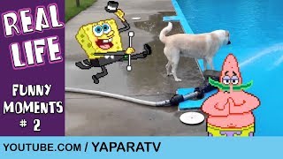 Funny moments  2  SpongeBob in real life [upl. by Mile]