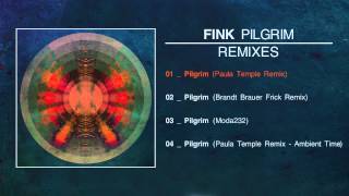 Fink  Pilgrim Paula Temple Remix [upl. by Ariadne784]