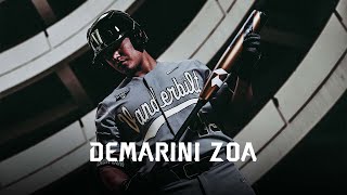 2022 DeMarini Zoa BBCOR [upl. by Ecnahoy]