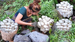 Women found mushrooms for cook at bamboo hut  Eating delicious [upl. by Zolner906]