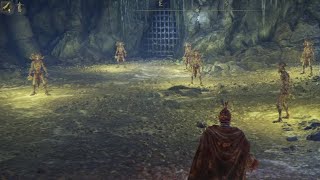 Elden Ring SOTE Dex run part 15 Lamenters Lot [upl. by Nomra]