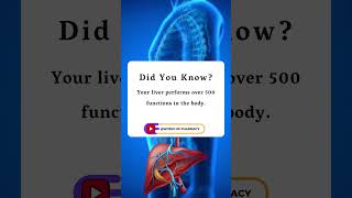 Your liver performs over 500 functions in the body [upl. by Aluin]