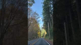 Autumn drive  Whidbey Island travel roadtrip natureinspired [upl. by Ardrey]