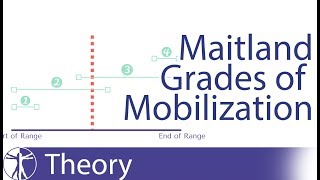 Maitland Mobilization Grades [upl. by Onailimixam]