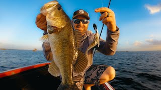 Swim Jig and Chatterbait Tips For Prespawn Bass In The Shallows [upl. by Birkett]