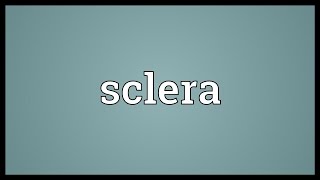 Sclera Meaning [upl. by Rogovy375]