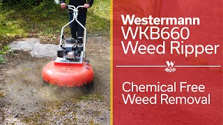 Westermann WKB660 Weed Ripper  Chemical Free Weed Removal [upl. by Calysta65]