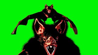 Scary Halloween Green Screen VFX for Horror Videos  Flying bat front [upl. by Ihdin341]