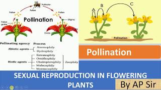 Pollination and its type [upl. by Gmur]