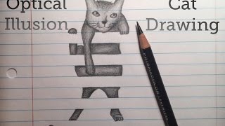 Optical Illusion Cat Drawing [upl. by Asiaj208]