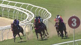 Heat 21  Doomben Jumpouts 10102023 [upl. by Salita]