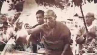 Webu Sayadaw Anthology of a Noble One [upl. by Felice]