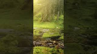 suoni della natura meteoMovie musicapermeditare relaxingmusic relaxingsleepmusic relaxsounds [upl. by Milks]