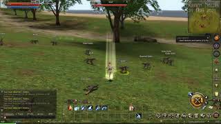 Lineage 2 Aden  builtin botting with the autohunt feature [upl. by Norrehc]